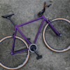 Bicicleta single speed raw Morada