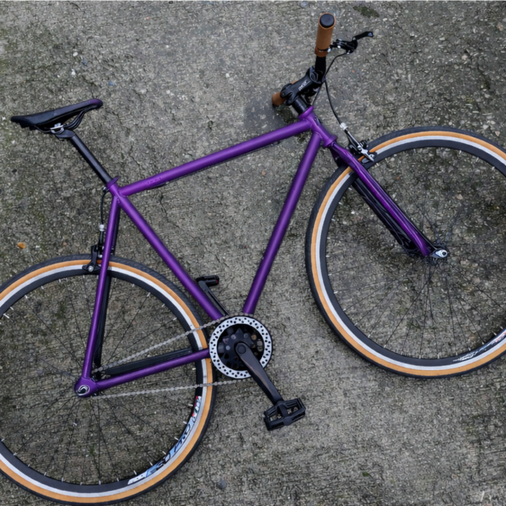 Bicicleta single speed raw Morada